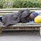 Image: Shutterstock